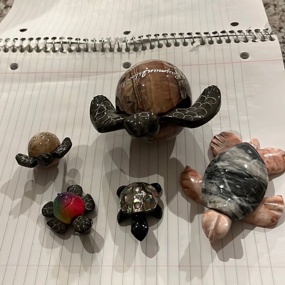 Collection of natural stone sea turtles.